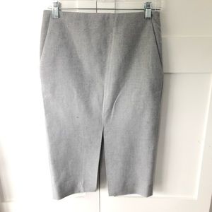 Aritzia skirt (babaton)